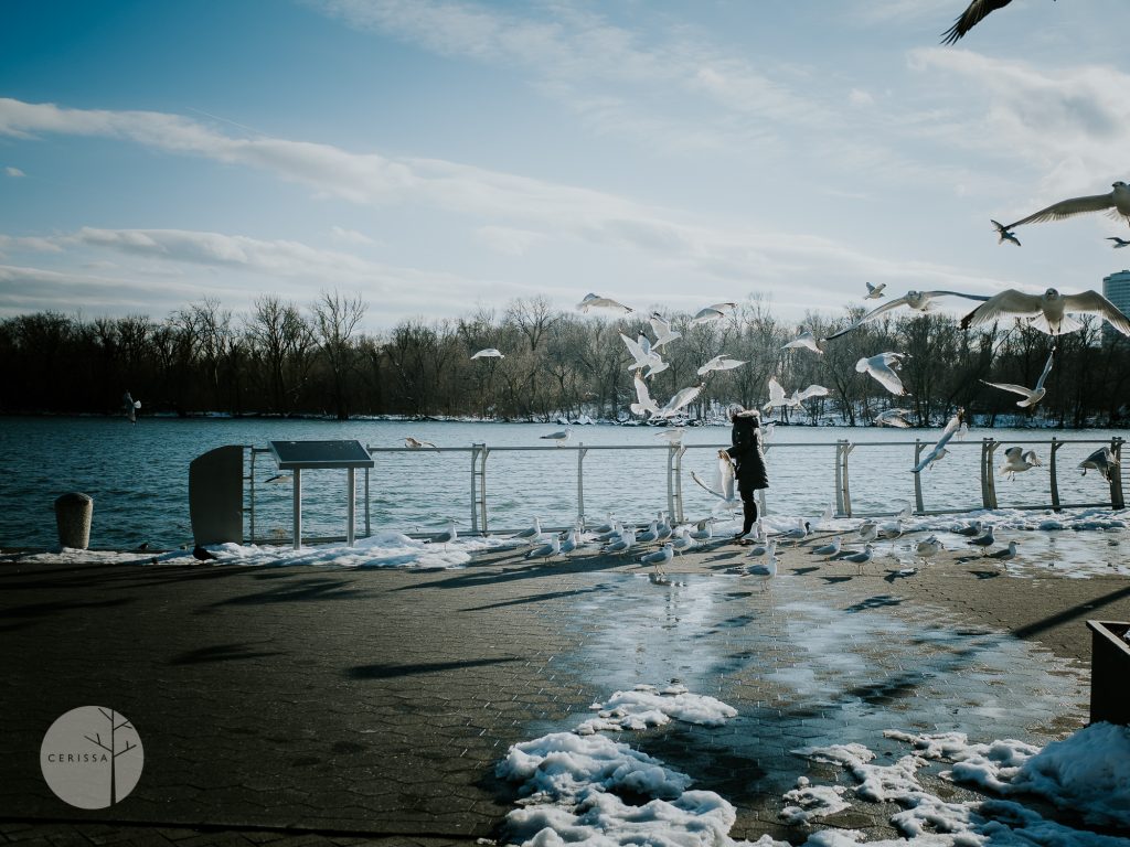 DC Photographer